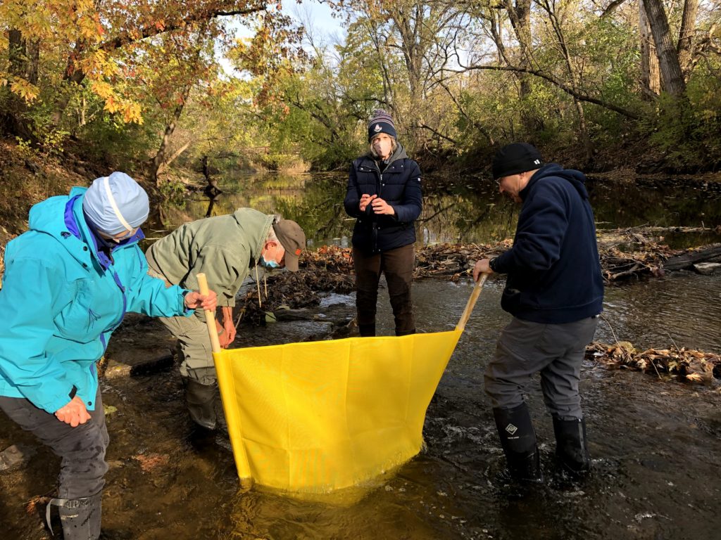 volunteers collecting invertebrates in Squaw Creek with a kick-net