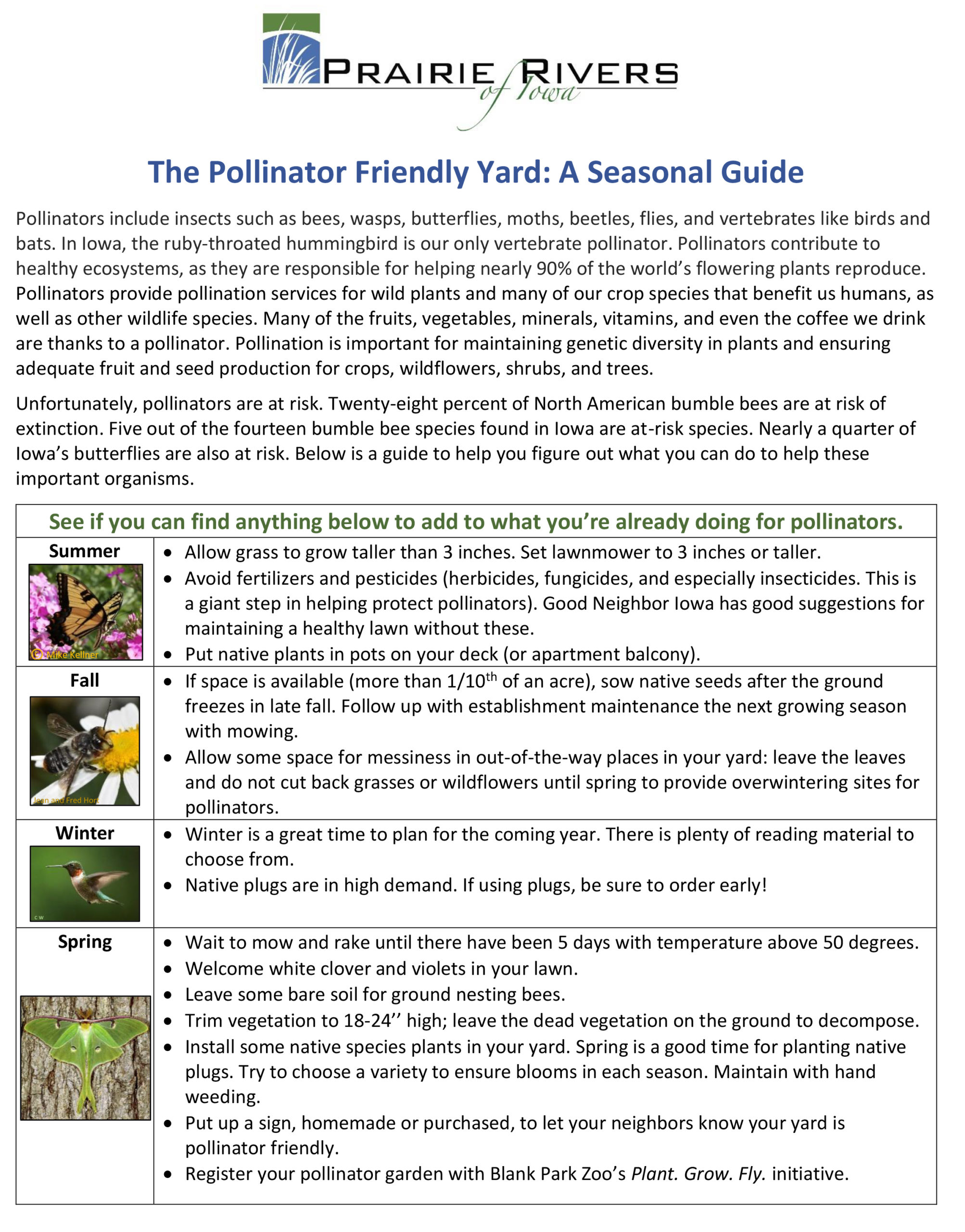 Pollinator Friendly Yards - A Seasonal Guide